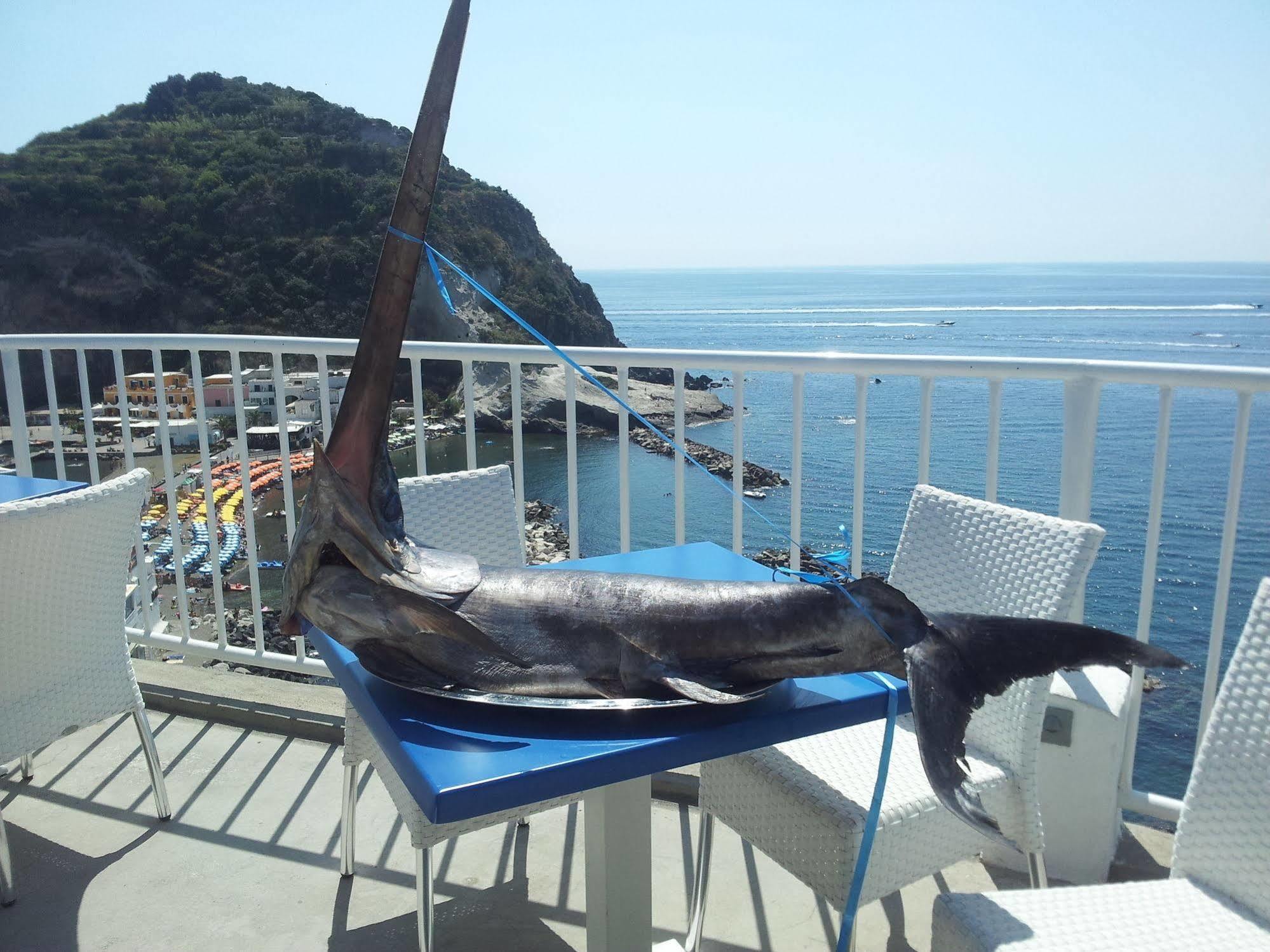 Hotel Villa Sirena Sant'Angelo  Luaran gambar